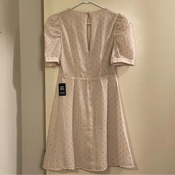 EXPRESS Metallic‎ Clip Dot Puff Sleeve Fit and Flare Dress - Picture 5 of 7